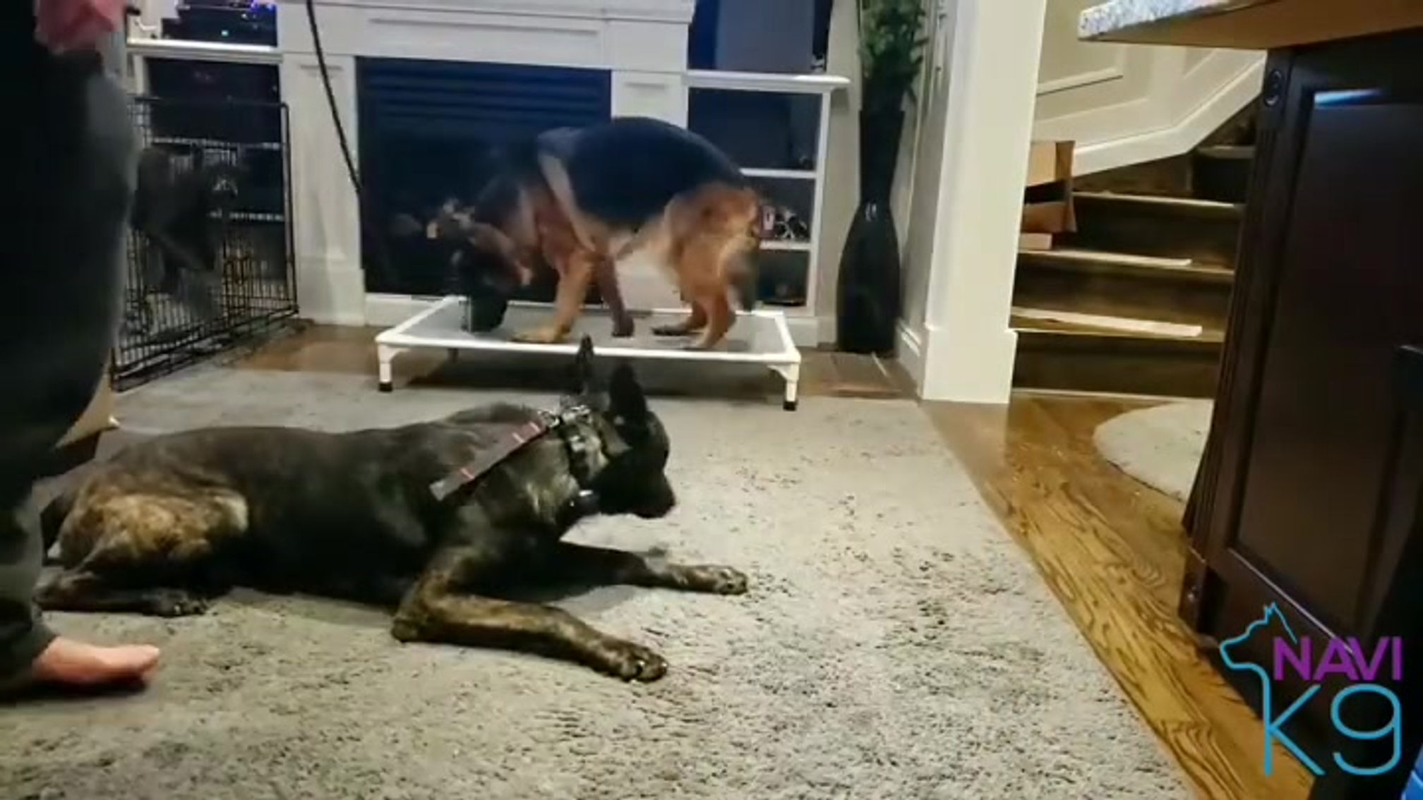 Athena Place Training